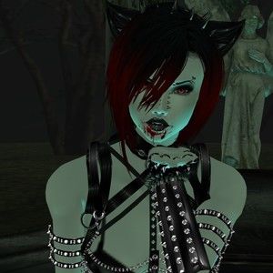 Meet your Posher, Posh